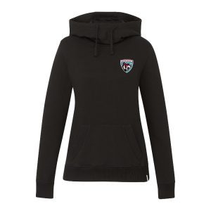 Ladies Tentree hoodie