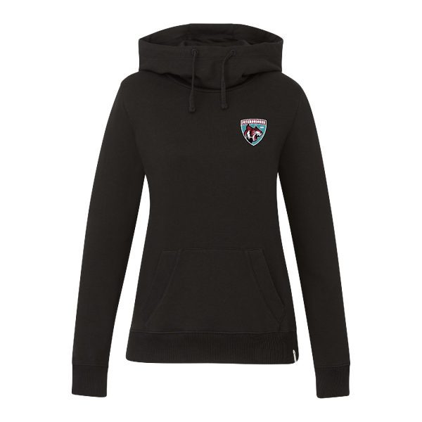 Ladies Tentree hoodie