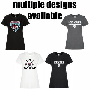 Premium Triblend T-Shirt