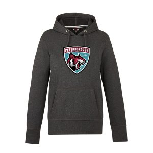 Performance Pullover Hoodie