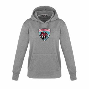 Performance Pullover Hoodie