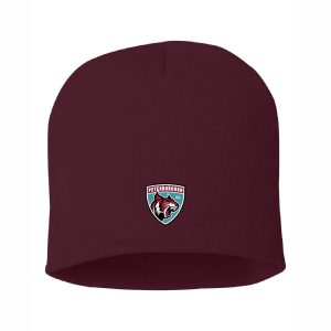 Beanie Toque