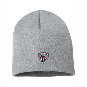 Beanie Toque