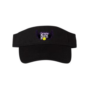 Visor