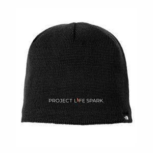 The North Face Mountain Beanie
