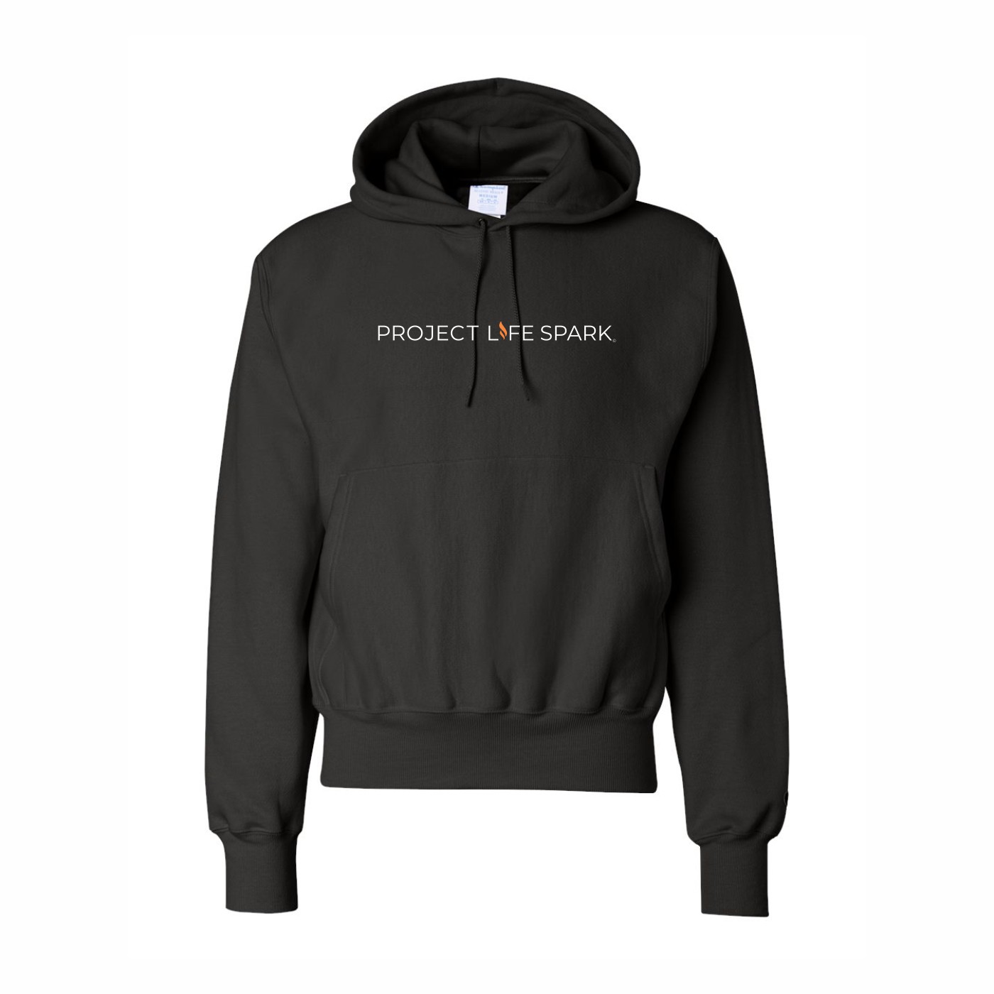 Champion Reverse Weave Pullover Hoodie - Image 3