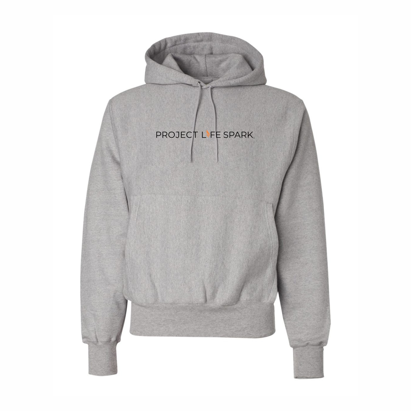 Champion Reverse Weave Pullover Hoodie