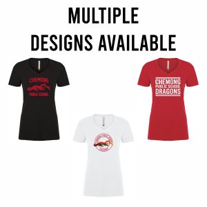 Ladies Premium V-neck T-shirt