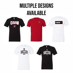 Bella + Canvas Triblend T-shirt